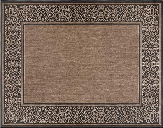 Indoor Outdoor Area Rug, Flatweave, Washable, Stain Resistant Carpet