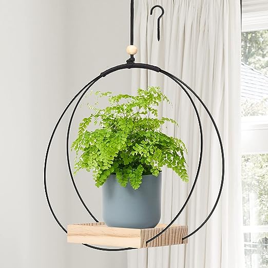 Plant Hanger with Wood Base