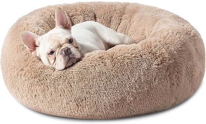 Calming Dog Bed for Medium Dogs - Donut Washable Medium Pet Bed