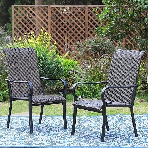 Wicker Dining Chair Set of 2