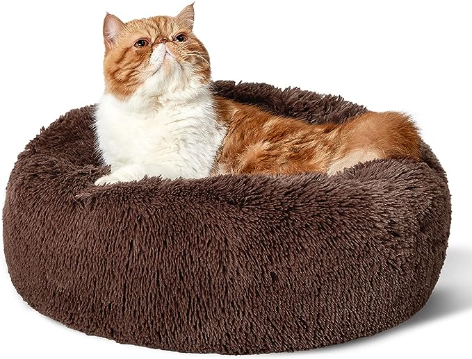 Calming Cat Beds for Indoor Cats - Small