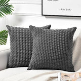 2 Packs Boho Cream Decorative Throw Pillow