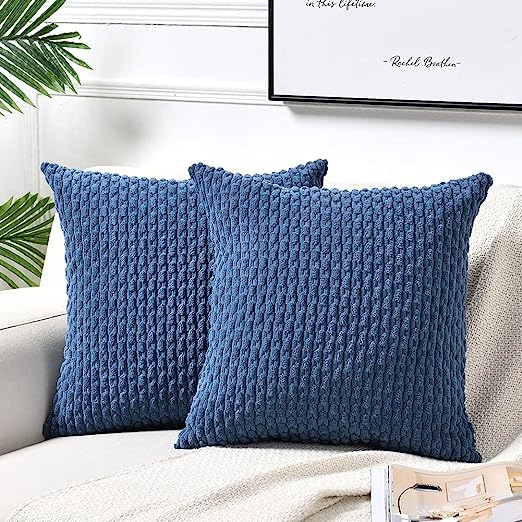 2 Packs Boho Cream Decorative Throw Pillow