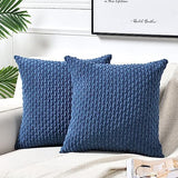 2 Packs Boho Cream Decorative Throw Pillow