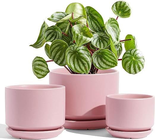 Ceramic Plant Pots, 4.3+5.3+6.8 inch, Set of 3