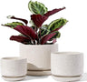 Ceramic Plant Pots, 4.3+5.3+6.8 inch, Set of 3