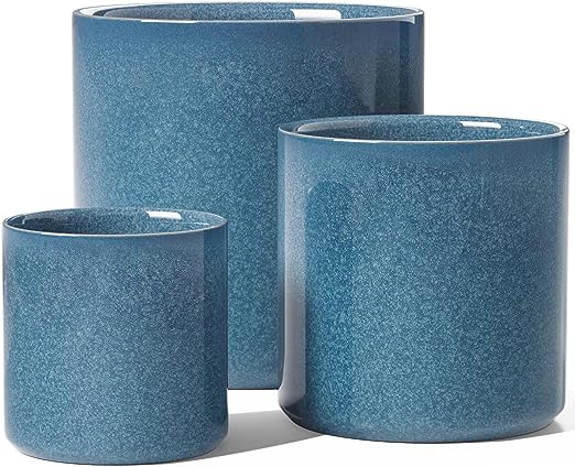 Large Plant Pots Set, 10/8/6 Inch Ceramic Planters