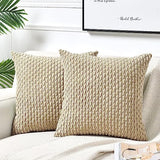 2 Packs Boho Cream Decorative Throw Pillow