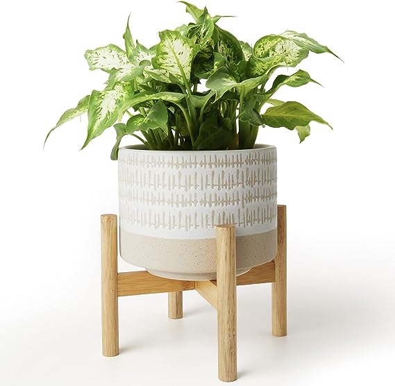 8-Inch Ceramic Planter with Wooden Stand